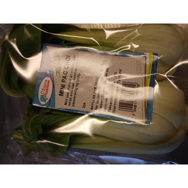 Pac choi stk