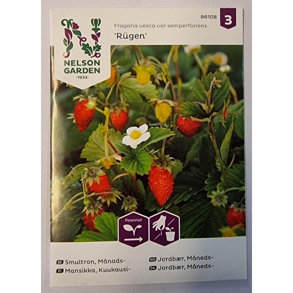 Nelson Garden Månedsjordbær 'Rügen' 0,10g