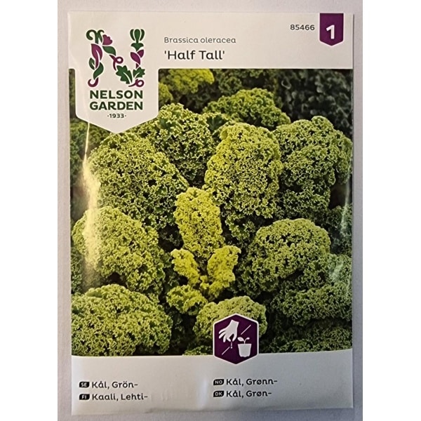 Nelson Garden Grønnkål 'Half Tall' 1,50g
