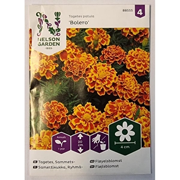 Nelson Garden Fløyelsblomst 'Bolero' 0,50g