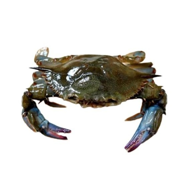 Soft shell krabbe 1kg