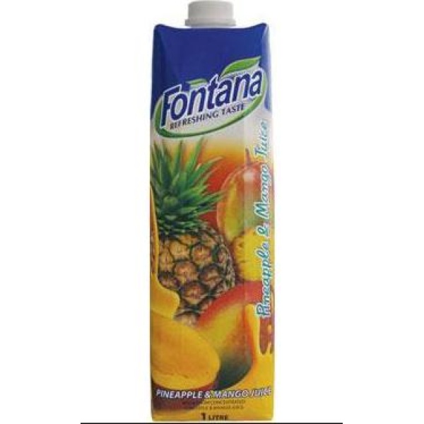 Ananas & mango juice 1l