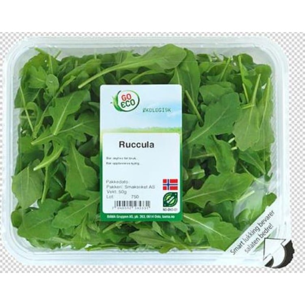 Ruccula Salat 50g Økologisk