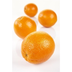 Appelsiner økologisk kg