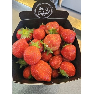 Jordbær 500g Import