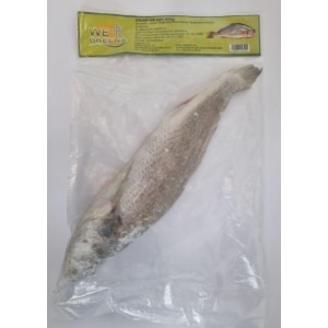 WeGreens Ombrine – Europeisk Sea Bass 600-800g kg