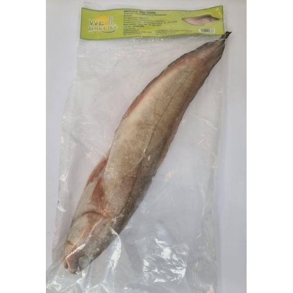 WeGreens Brotula 800-1200g kg