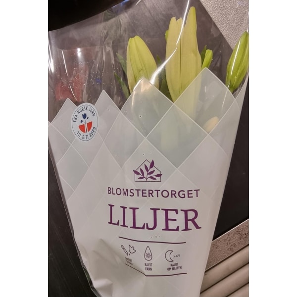 Asiatiske Liljer 2pk