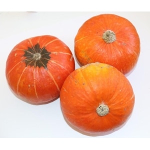 Hokkaido gresskar kg