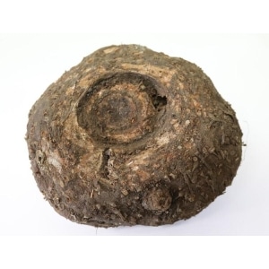 ELEPHANT YAM (KARUNAI KILANGU ) kg