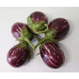 Brinjal Sri lanka kg