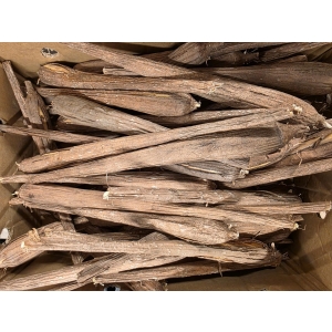 Panangkilangu (Palm Sprouts) kg