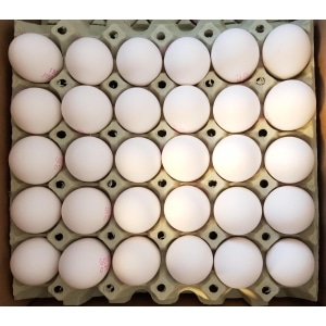 Egg dobbel plomme 30stk