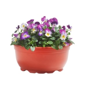 Sadochok Nektar orange 0,95L