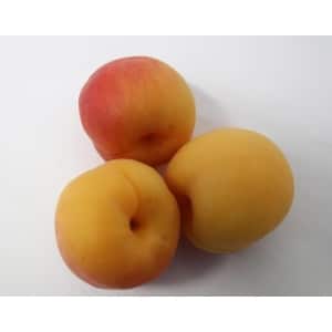 Aprikoser 500g